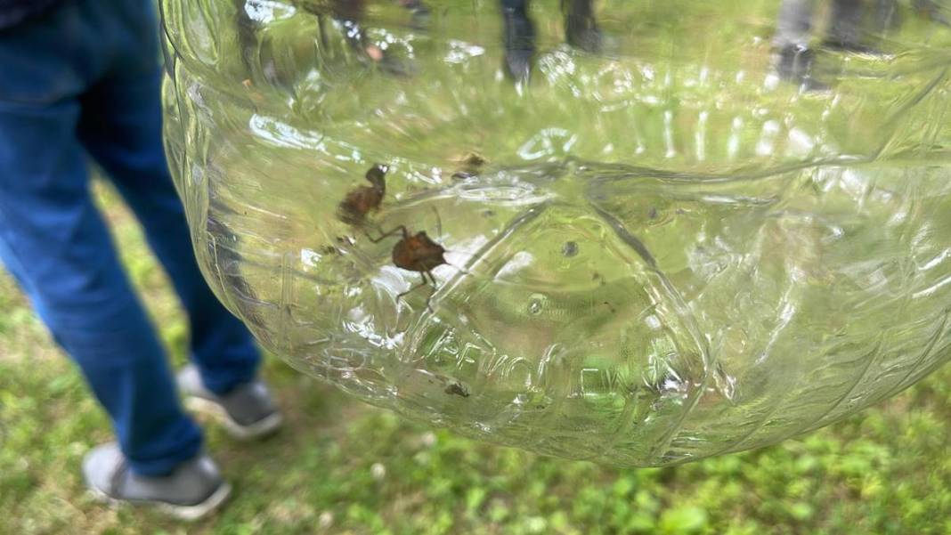 Karadeniz'in bazı kentlerinde alarm verildi: Samuraylar devrede! 23